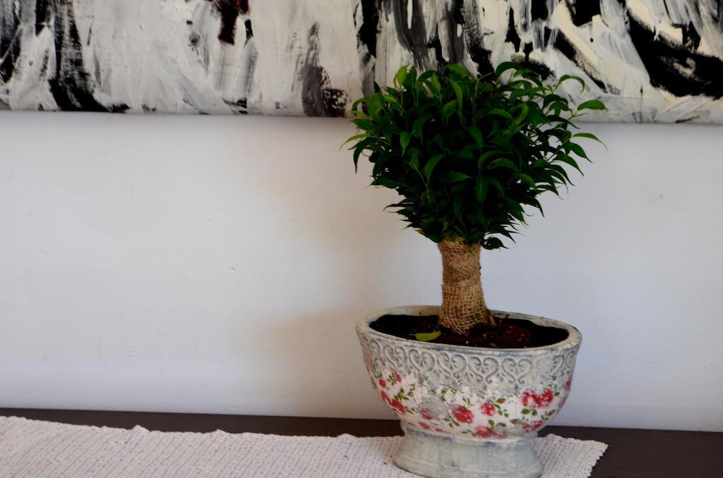 Apartments Prunus ドゥブロブニク 部屋 写真